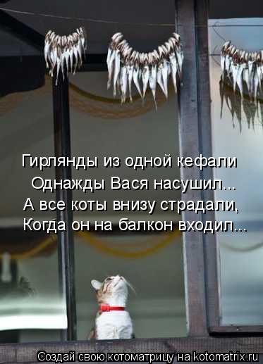 Котоматрица: Гирлянды из одной кефали Однажды Вася насушил... А все коты внизу страдали, Когда он на балкон входил...