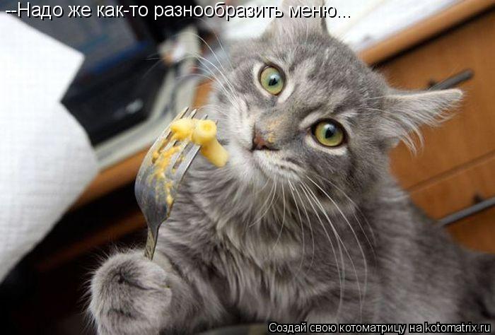 Котоматрица: --Надо же как-то разнообразить меню...