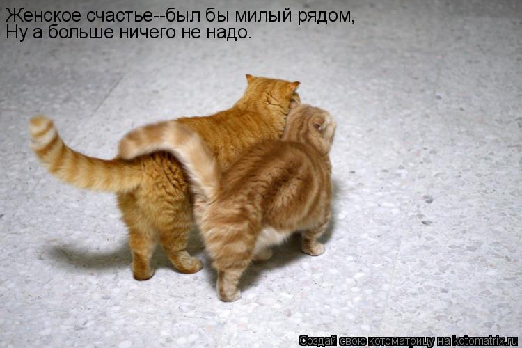 Котоматрица: Женское счастье--был бы милый рядом, Ну а больше ничего не надо.
