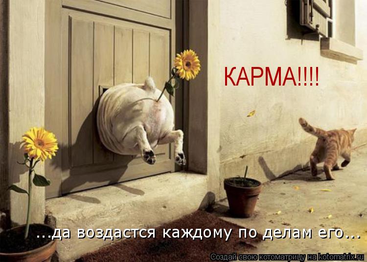 Котоматрица: ...да воздастся каждому по делам его... КАРМА!!!!