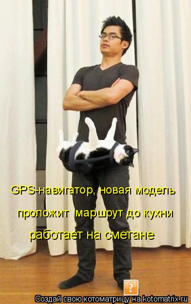 Котоматрица: GPS-навигатор, новая модель проложит  маршрут до кухни работает на сметане