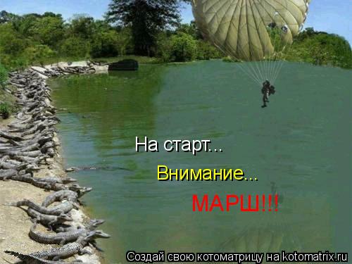 На старт... Внимание... МАРШ!!!... Котоматрица: На старт... Внимание... МАРШ!!!