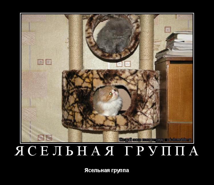 Котоматрица: Ясельная группа Ясельная группа
