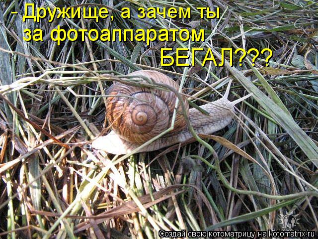 Котоматрица: - Дружище, а зачем ты  за фотоаппаратом  БЕГАЛ???
