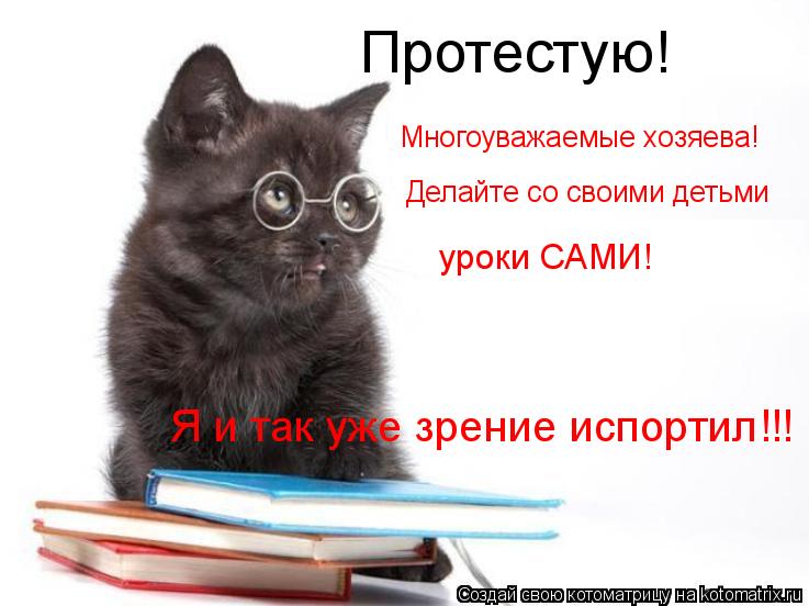 Котоматрица: Протестую!  Многоуважаемые хозяева! Делайте со своими детьми уроки САМИ! Я и так уже зрение испортил!!!