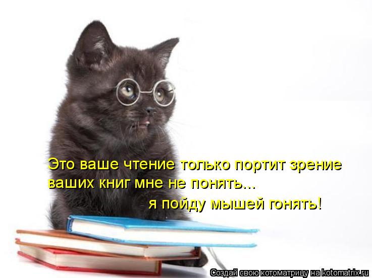 Котоматрица: Это ваше чтение только портит зрение ваших книг мне не понять... я пойду мышей гонять!