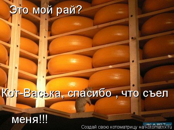 Котоматрица: Это мой рай? Кот-Васька, спасибо , что съел меня!!!