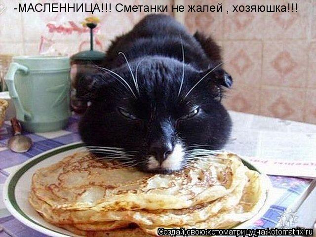 Котоматрица: -МАСЛЕННИЦА!!! Сметанки не жалей , хозяюшка!!!