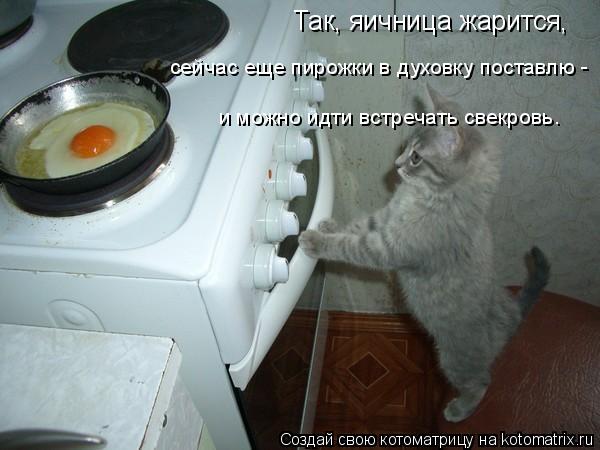 Котоматрица: Так, яичница жарится, сейчас еще пирожки в духовку поставлю -  и можно идти встречать свекровь.