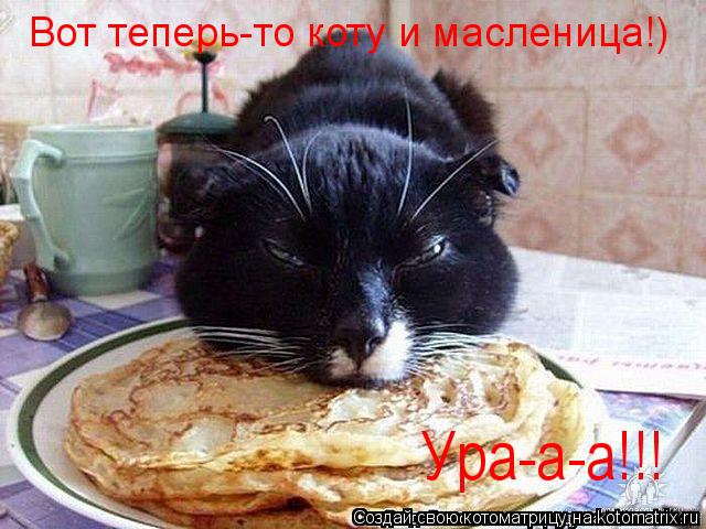 Котоматрица: Вот теперь-то коту и масленица!) Ура-а-а!!!