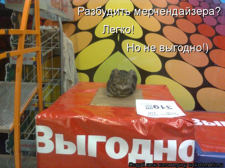 Котоматрица: Разбудить мерчендайзера? Но не выгодно!) Легко!