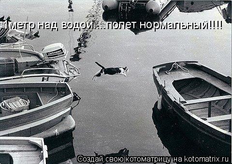 Котоматрица: 1метр над водой....полет нормальный!!!!