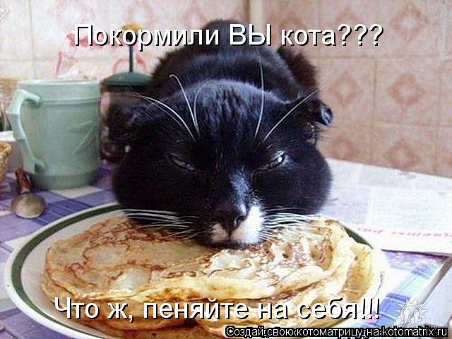Котоматрица: Что ж, пеняйте на себя!!! Покормили ВЫ кота???