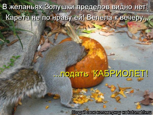 В желаньях Золушки пределов видно нет! Карета не по нраву ей! Велела к вечеру.... ...подать КАБРИОЛЕ... Котоматрица: В желаньях Золушки пределов видно нет! Карета не по нраву ей! Велела к вечеру.... ...подать КАБРИОЛЕТ!