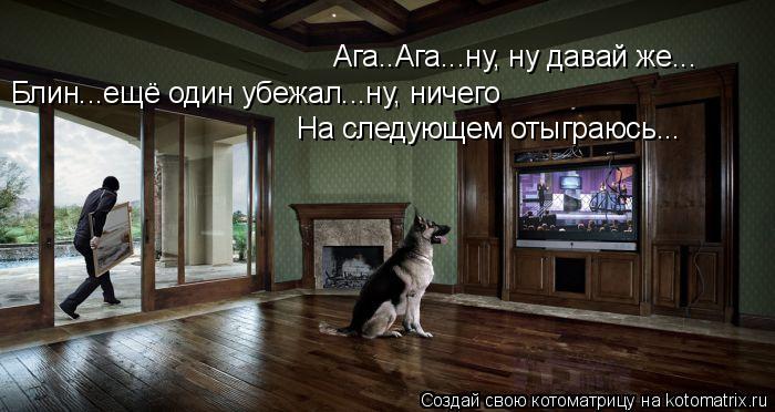 Ага..Ага...ну, ну давай же... Блин...ещё один убежал...ну, ничего На следующем отыграюсь...... Котоматрица: Ага..Ага...ну, ну давай же... Блин...ещё один убежал...ну, ничего На следующем отыграюсь...