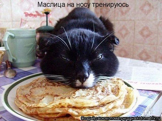 Маслица на носу тренируюсь... Котоматрица: Маслица на носу тренируюсь