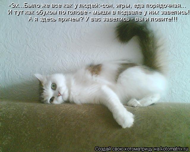 -Эх...Было же все как у людей:-сон, игры, еда порядочная... И тут как обухом по голове - мыши в подва... Котоматрица: -Эх...Было же все как у людей:-сон, игры, еда порядочная... И тут как обухом по голове - мыши в подвале у них завелись! А я здесь причем? У вас заве