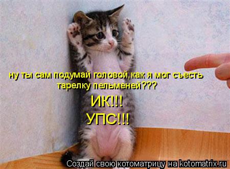 ну ты сам подумай головой,как я мог съесть тарелку пельменей??? ИК!!! УПС!!!... Котоматрица: ну ты сам подумай головой,как я мог съесть тарелку пельменей??? ИК!!! УПС!!!