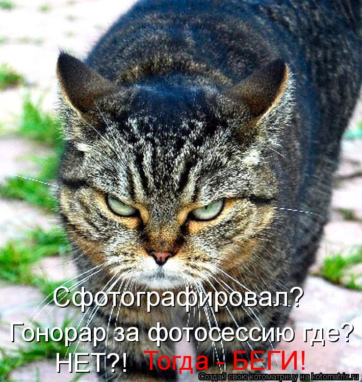 Сфотографировал? Гонорар за фотосессию где? Тогда - БЕГИ! НЕТ?!... Котоматрица: Сфотографировал? Гонорар за фотосессию где? Тогда - БЕГИ! НЕТ?!