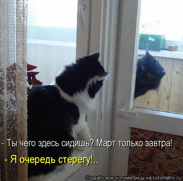 - Ты чего здесь сидишь? Март только завтра! - Я очередь стерегу!..... Котоматрица: - Ты чего здесь сидишь? Март только завтра! - Я очередь стерегу!..