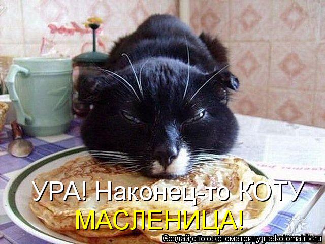 УРА! Наконец-то КОТУ МАСЛЕНИЦА!... Котоматрица: УРА! Наконец-то КОТУ МАСЛЕНИЦА!
