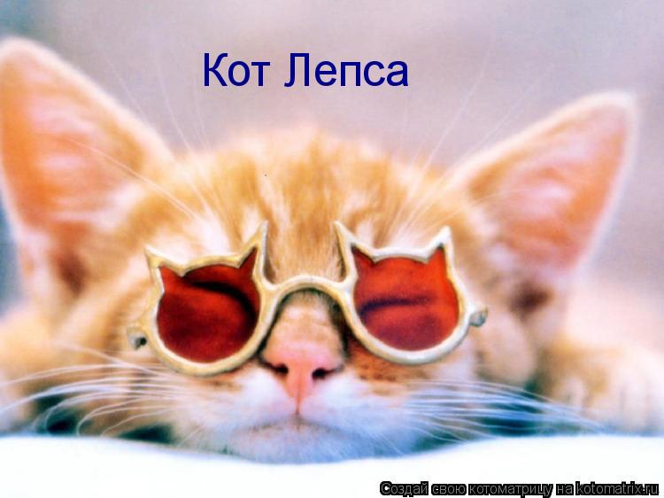 Кот Лепса... Котоматрица: Кот Лепса