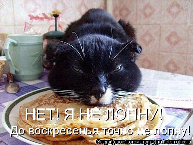 НЕТ! Я НЕ ЛОПНУ! До воскресенья точно не лопну!... Котоматрица: НЕТ! Я НЕ ЛОПНУ! До воскресенья точно не лопну!