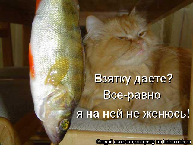 Взятку даете? Все-равно я на ней не женюсь!... Котоматрица: Взятку даете? Все-равно я на ней не женюсь!