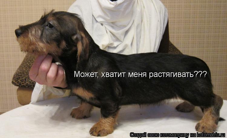 Может, хватит меня растягивать???... Котоматрица: Может, хватит меня растягивать???