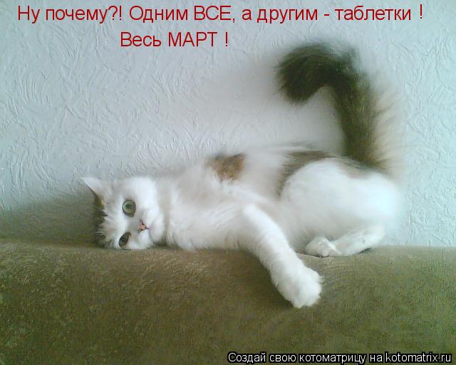 Ну почему?! Одним ВСЕ, а другим - таблетки ! Весь МАРТ !... Котоматрица: Ну почему?! Одним ВСЕ, а другим - таблетки ! Весь МАРТ !