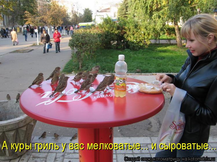 А куры гриль у вас мелковатые... и сыроватые...... Котоматрица: А куры гриль у вас мелковатые... и сыроватые...