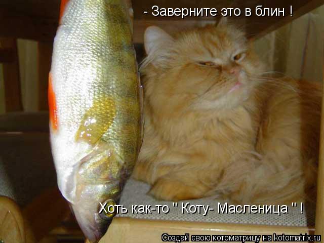 - Заверните это в блин ! Хоть как-то " Коту- Масленица " !... Котоматрица: - Заверните это в блин ! Хоть как-то " Коту- Масленица " !