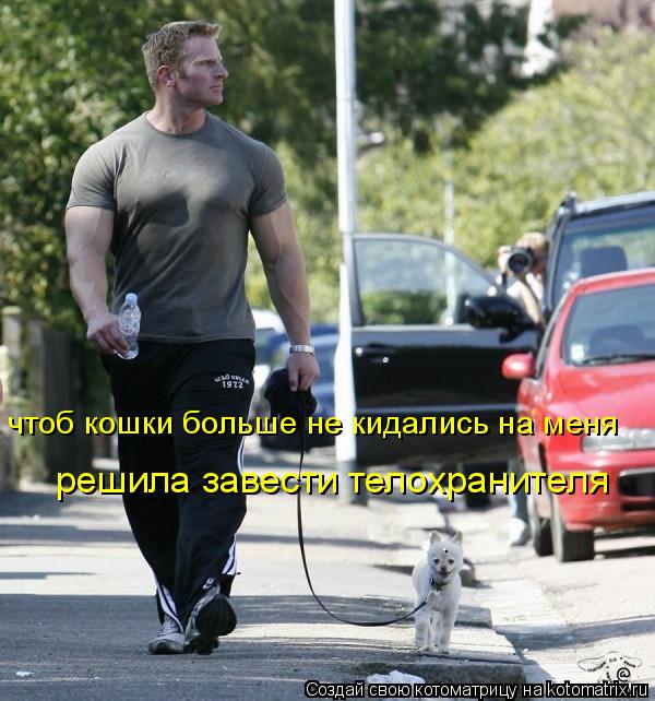 чтоб кошки больше не кидались на меня решила завести телохранителя... Котоматрица: чтоб кошки больше не кидались на меня решила завести телохранителя