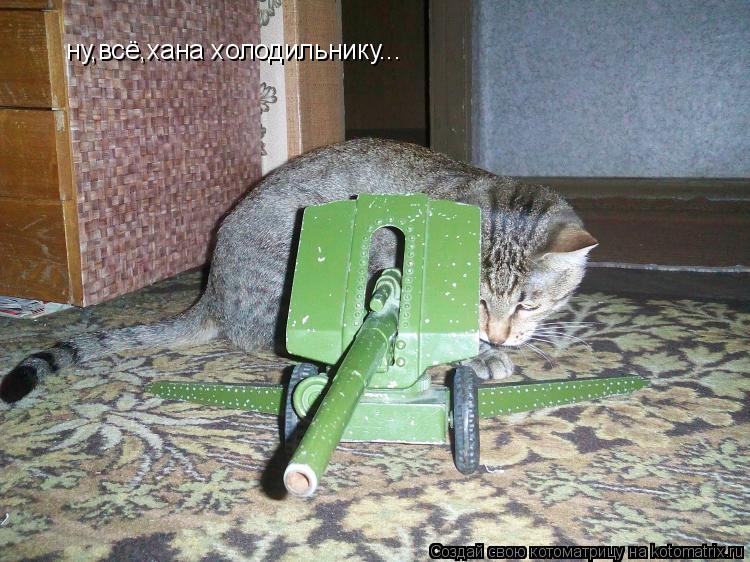 ну,всё,хана холодильнику...... Котоматрица: ну,всё,хана холодильнику...