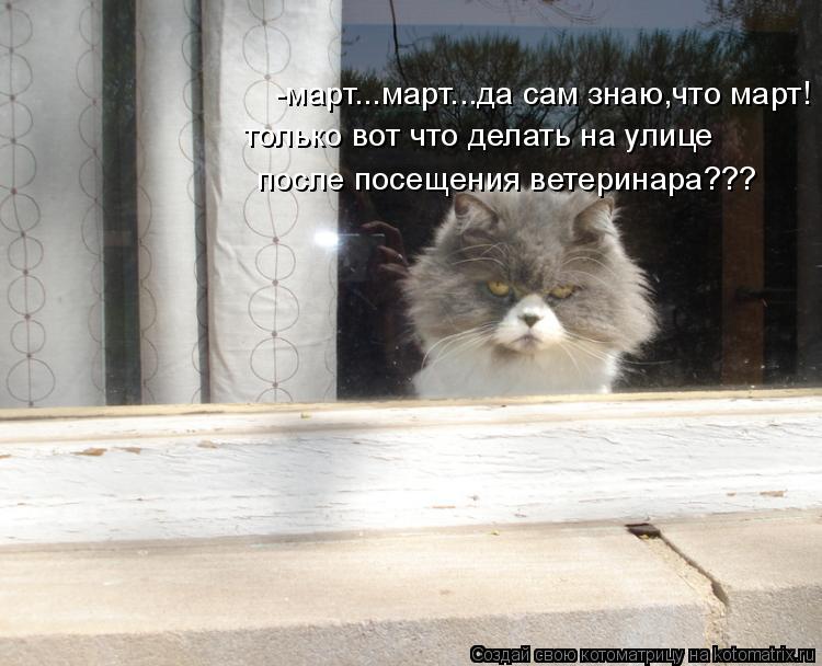 -март...март...да сам знаю,что март! только вот что делать на улице после посещения ветеринара???... Котоматрица: -март...март...да сам знаю,что март! только вот что делать на улице после посещения ветеринара???
