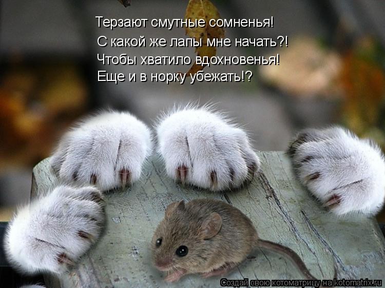 Терзают смутные сомненья! С какой же лапы мне начать?! Чтобы хватило вдохновенья! Еще и в норку убежа... Котоматрица: Терзают смутные сомненья! С какой же лапы мне начать?! Чтобы хватило вдохновенья! Еще и в норку убежать!?