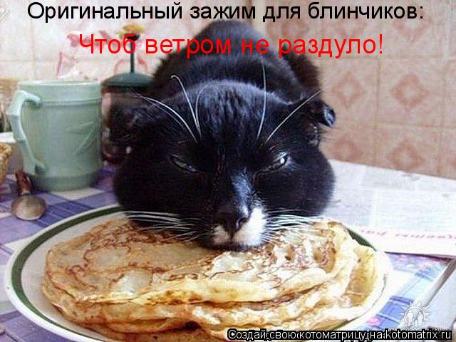 Оригинальный зажим для блинчиков: Чтоб ветром не раздуло!... Котоматрица: Оригинальный зажим для блинчиков: Чтоб ветром не раздуло!