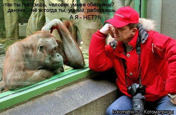-так ты говоришь, человек умнее обезьяны? дануна... чё ж тогда ты, умный, работаешь, А Я - НЕТ?!... Котоматрица: -так ты говоришь, человек умнее обезьяны? дануна... чё ж тогда ты, умный, работаешь, А Я - НЕТ?!