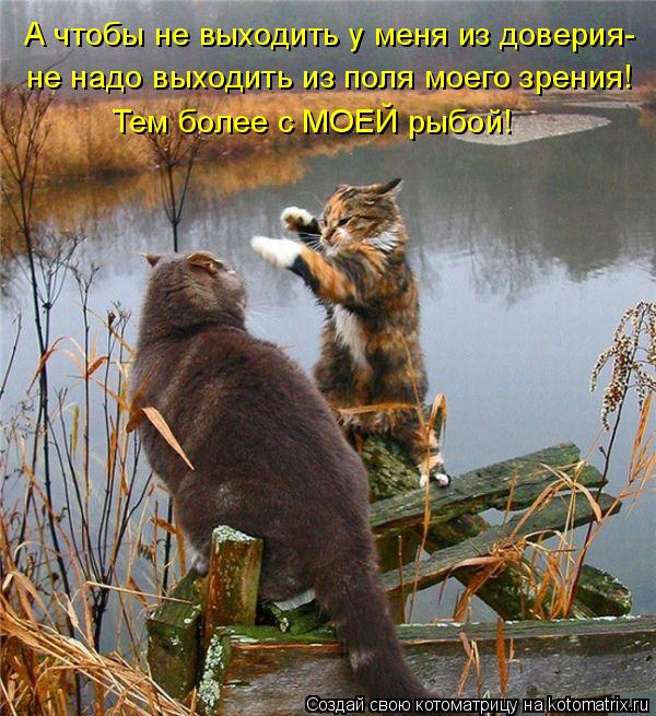 А чтобы не выходить у меня из доверия- не надо выходить из поля моего зрения! Тем более с МОЕЙ рыбой!... Котоматрица: А чтобы не выходить у меня из доверия- не надо выходить из поля моего зрения! Тем более с МОЕЙ рыбой!
