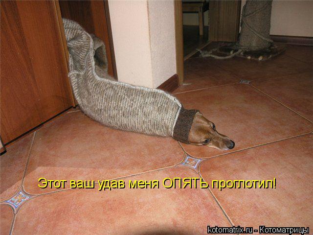 Этот ваш удав меня ОПЯТЬ проглотил!... Котоматрица: Этот ваш удав меня ОПЯТЬ проглотил!