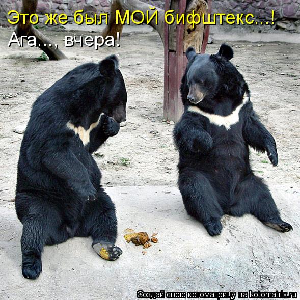 Ага..., вчера! Это же был МОЙ бифштекс...!... Котоматрица: Ага..., вчера! Это же был МОЙ бифштекс...!