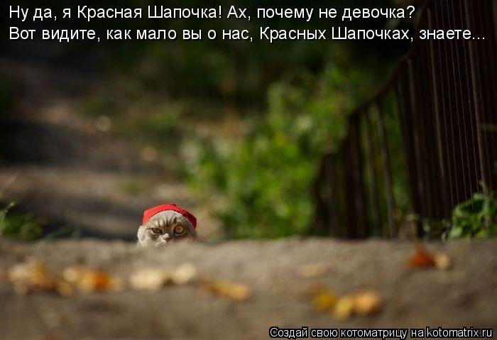 Вот видите, как мало вы о нас, Красных Шапочках, знаете... Ну да, я Красная Шапочка! Ах, почему не де... Котоматрица: Вот видите, как мало вы о нас, Красных Шапочках, знаете... Ну да, я Красная Шапочка! Ах, почему не девочка?