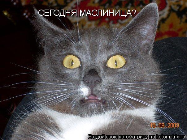 СЕГОДНЯ МАСЛИНИЦА?... Котоматрица: СЕГОДНЯ МАСЛИНИЦА?