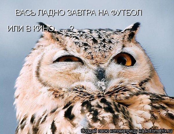 ВАСЬ ЛАДНО ЗАВТРА НА ФУТБОЛ ИЛИ В КИНО.......?... Котоматрица: ВАСЬ ЛАДНО ЗАВТРА НА ФУТБОЛ ИЛИ В КИНО.......?