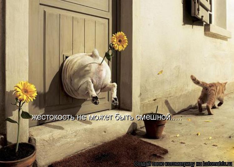 жестокость не может быть смешной........ Котоматрица: жестокость не может быть смешной.....
