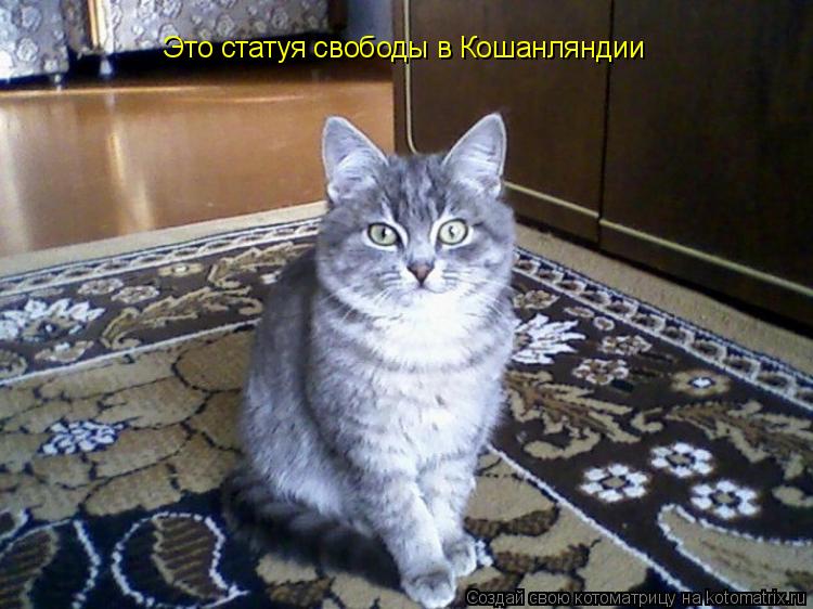 Это статуя свободы в Кошанляндии... Котоматрица: Это статуя свободы в Кошанляндии