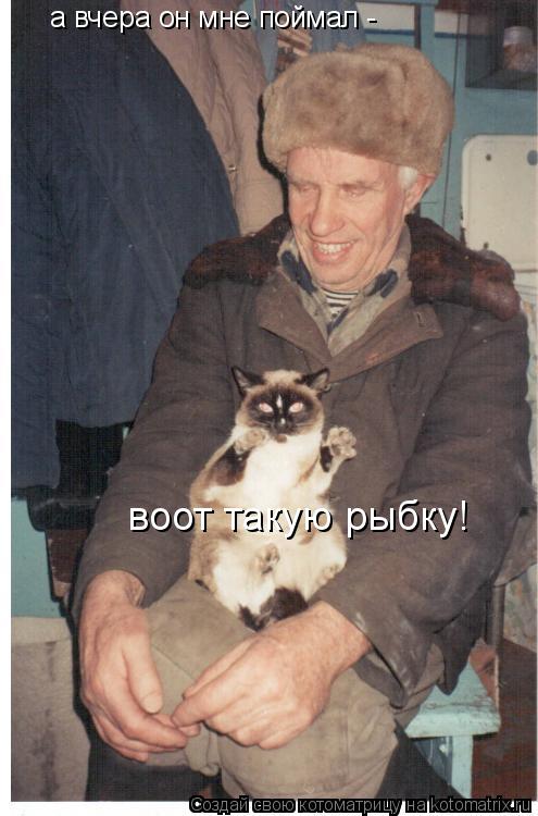 а вчера он мне поймал - воот такую рыбку!... Котоматрица: а вчера он мне поймал - воот такую рыбку!