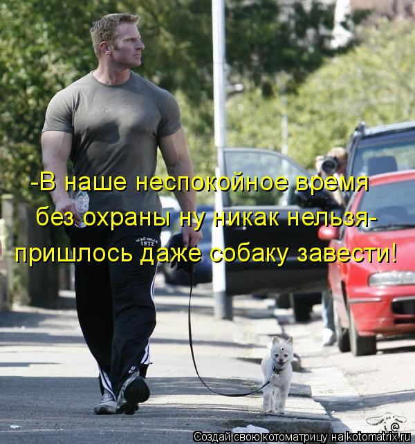 -В наше неспокойное время без охраны ну никак нельзя- пришлось даже собаку завести!... Котоматрица: -В наше неспокойное время без охраны ну никак нельзя- пришлось даже собаку завести!