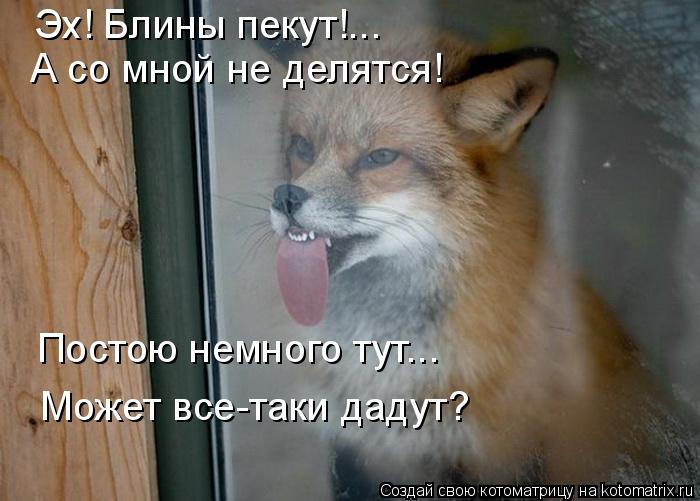 Эх! Блины пекут!... А со мной не делятся! Постою немного тут... Может все-таки дадут?... Котоматрица: Эх! Блины пекут!... А со мной не делятся! Постою немного тут... Может все-таки дадут?