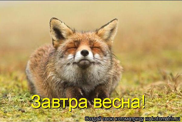 Завтра весна!... Котоматрица: Завтра весна!